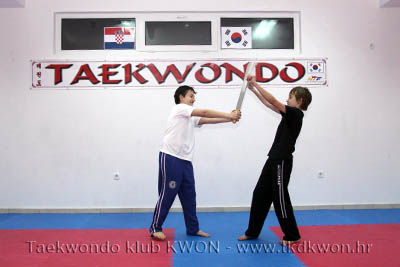 taekwondo kwon training